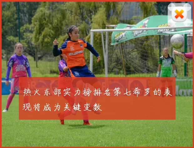 热火东部实力榜排名第七希罗的表现将成为关键变数