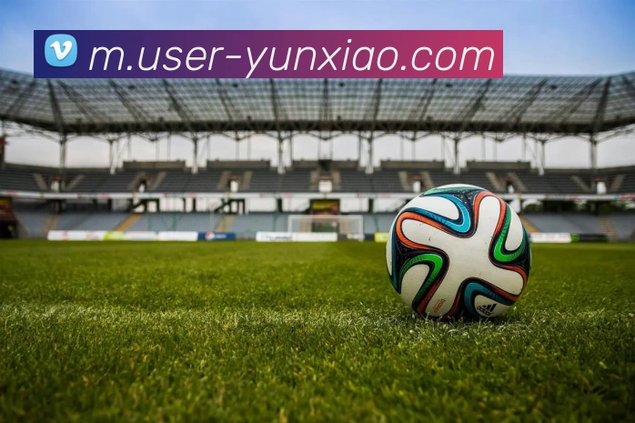 多媒体互动体验